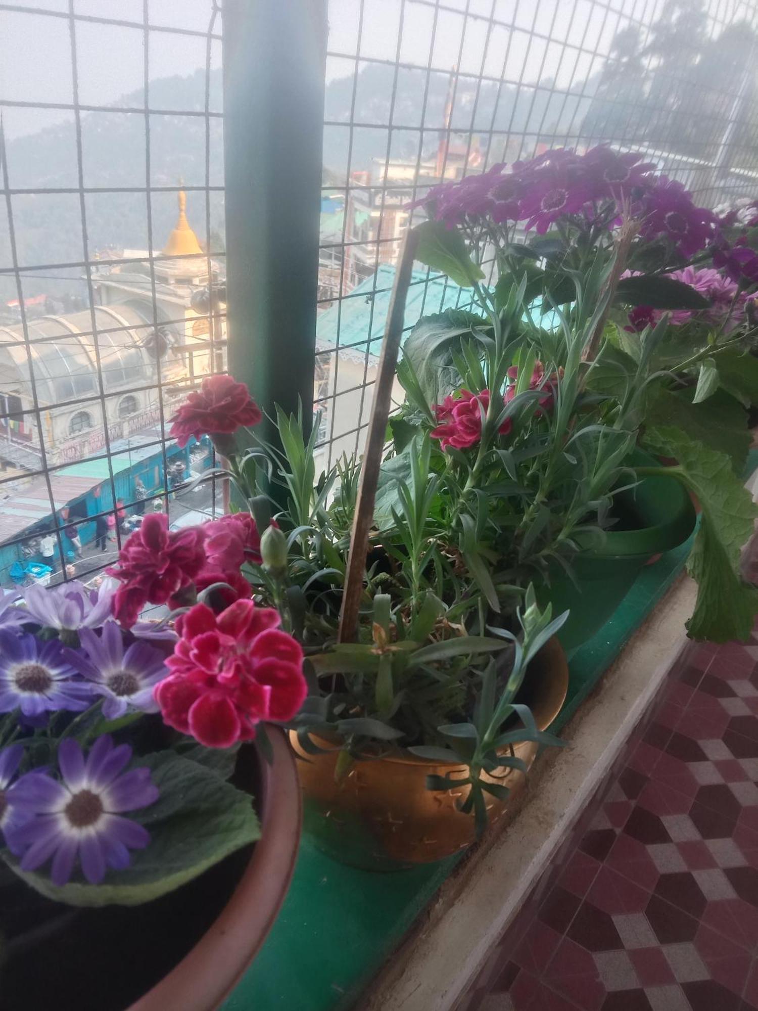 Beverly Hills Home Stay Darjeeling  Esterno foto