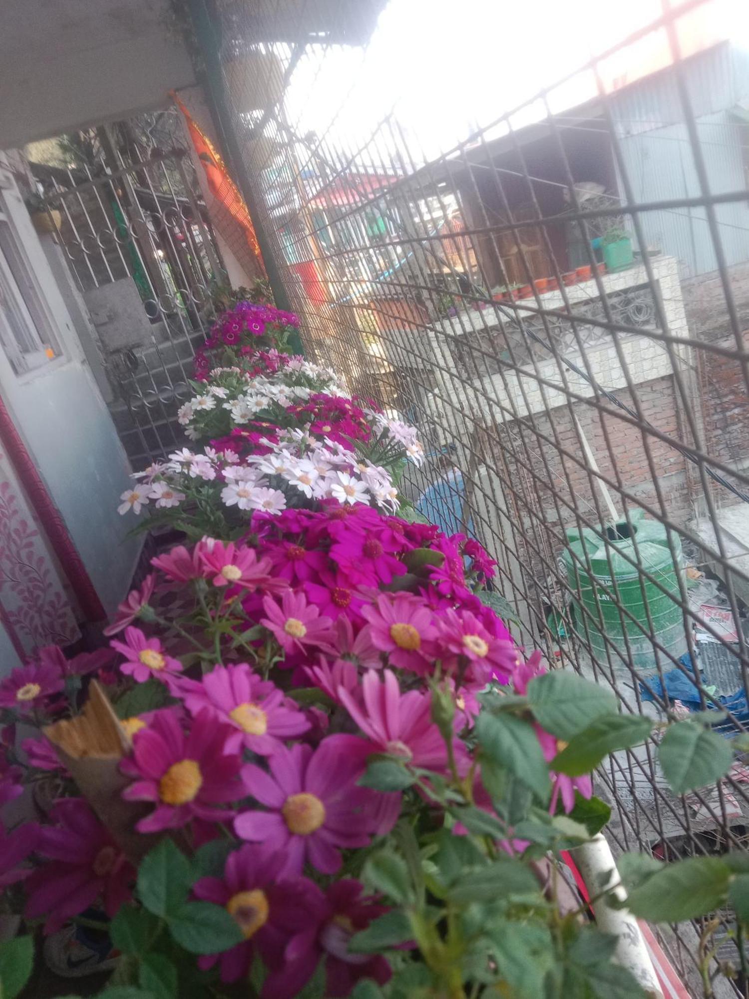 Beverly Hills Home Stay Darjeeling  Esterno foto