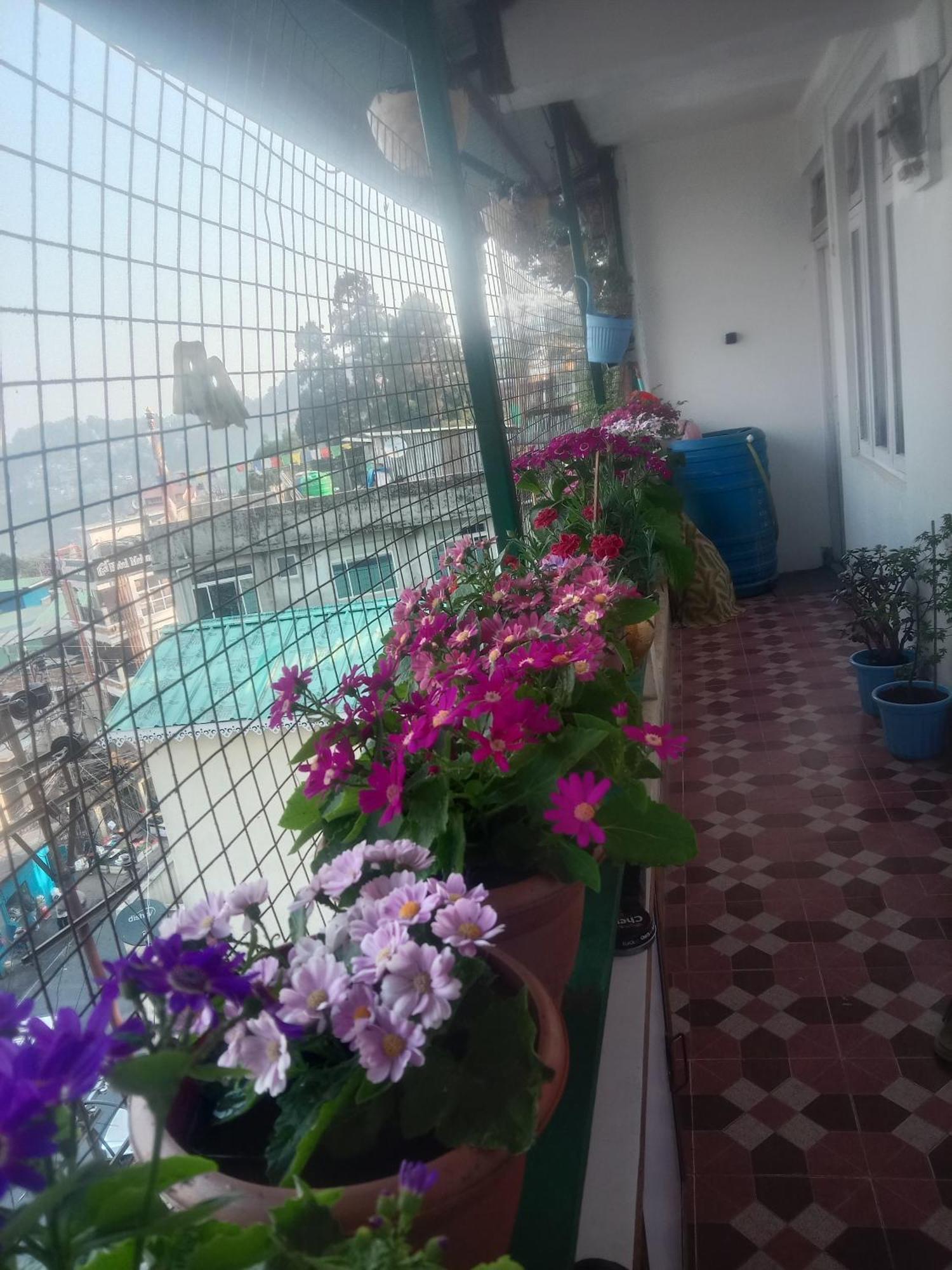 Beverly Hills Home Stay Darjeeling  Esterno foto